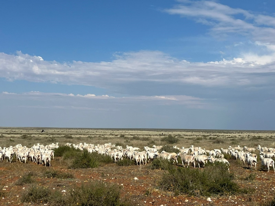 2 Bedroom Property for Sale in Prieska Rural Northern Cape